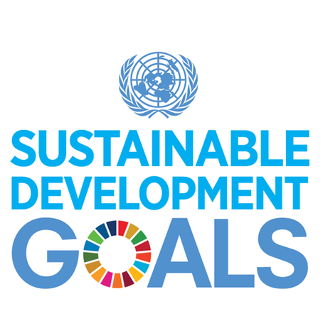 Sustainable development goals, agenda 2013 NIBE